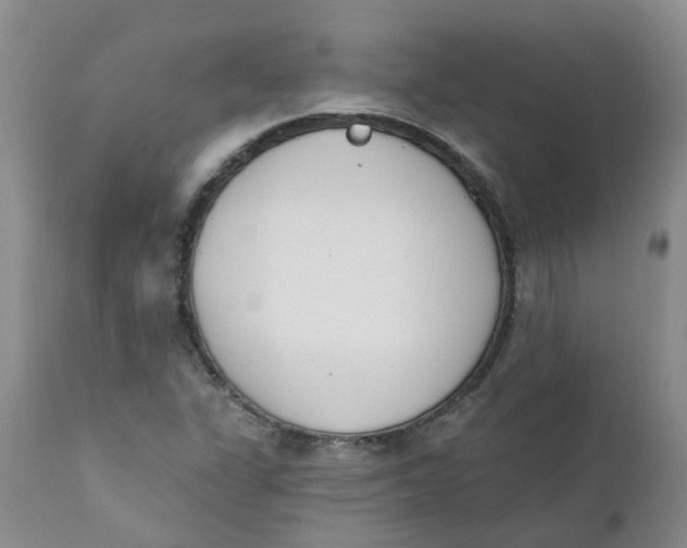 X0000112391311200909101401