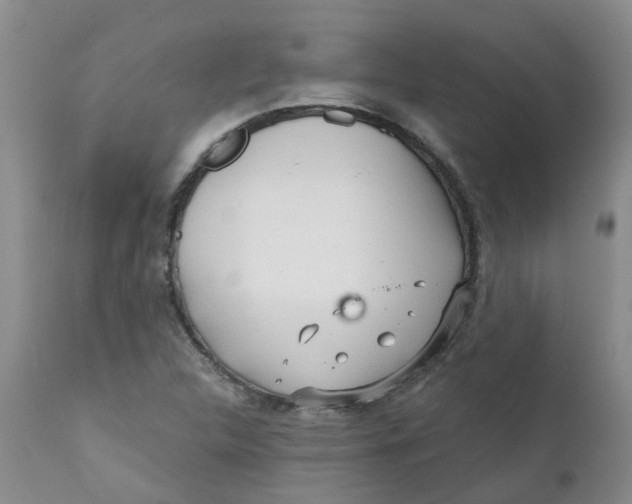 X0000112391312200909101401