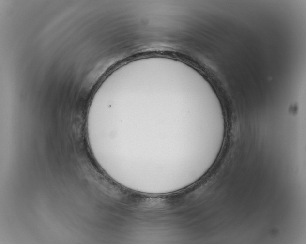X0000112391313200909101401