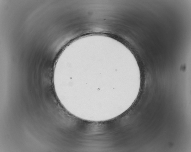 X0000112391314200909101401