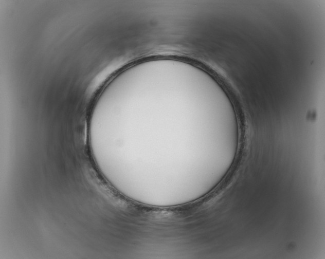 X0000112391317200909101401