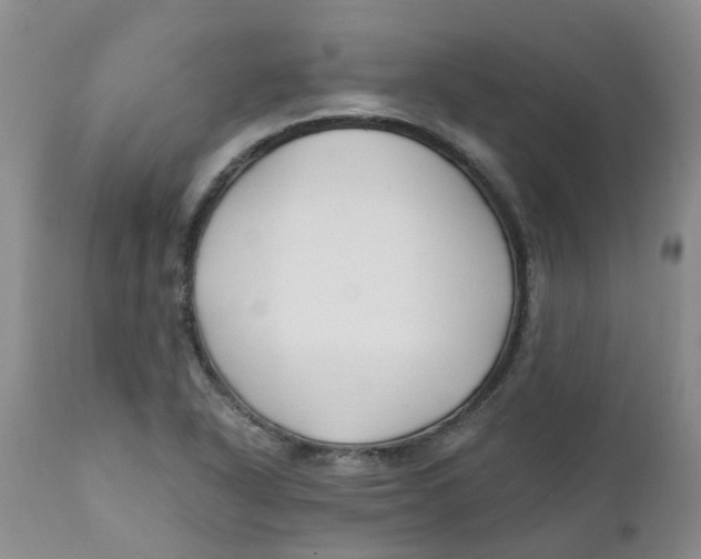 X0000112391318200909101401