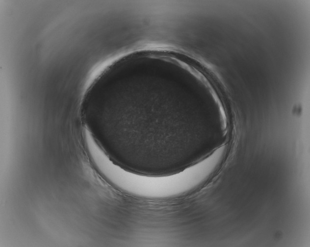 X0000112391319200909101401