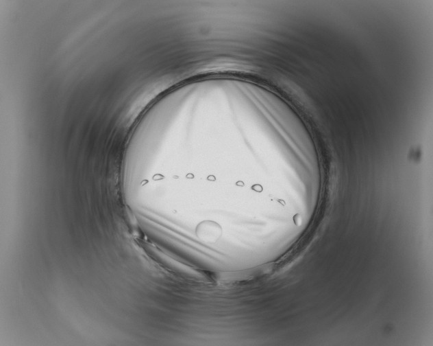 X0000112391321200909101401