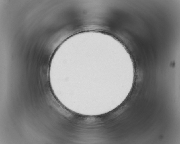 X0000112391322200909101401