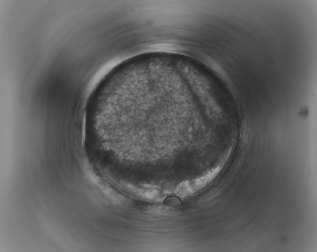 X0000112391323200909101401