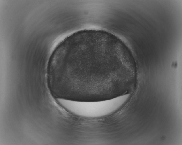 X0000112391327200909101401