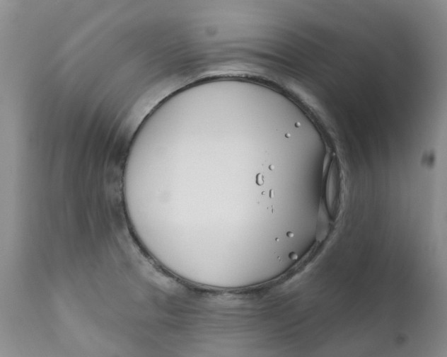 X0000112391329200909101401