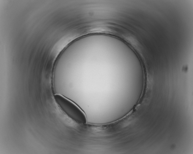 X0000112391330200909101401