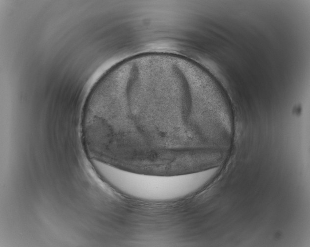 X0000112391331200909101401