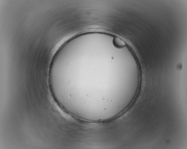X0000112391333200909101401
