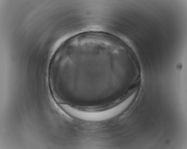 X0000112391334200909101401
