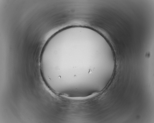 X0000112391335200909101401