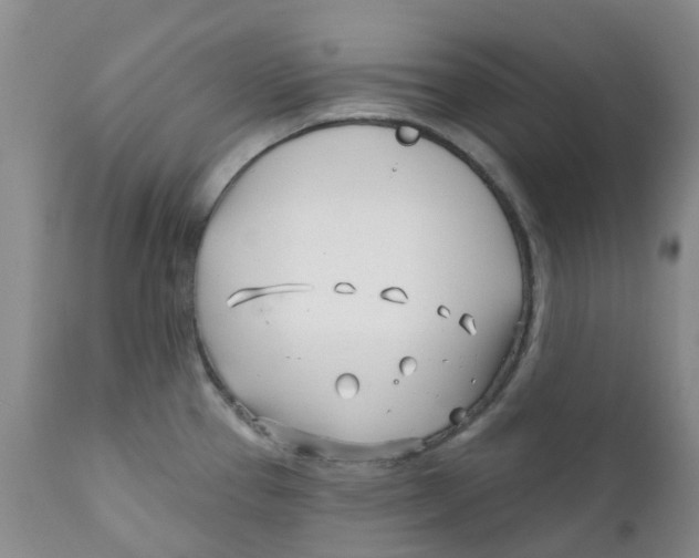 X0000112391337200909101401