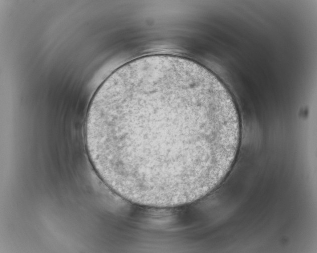 X0000112391338200909101401