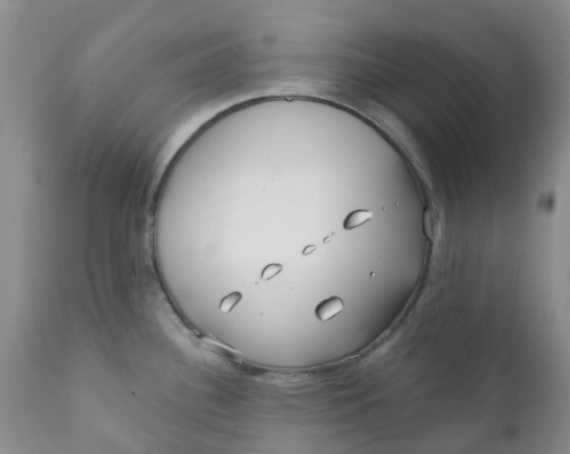X0000112391340200909101402