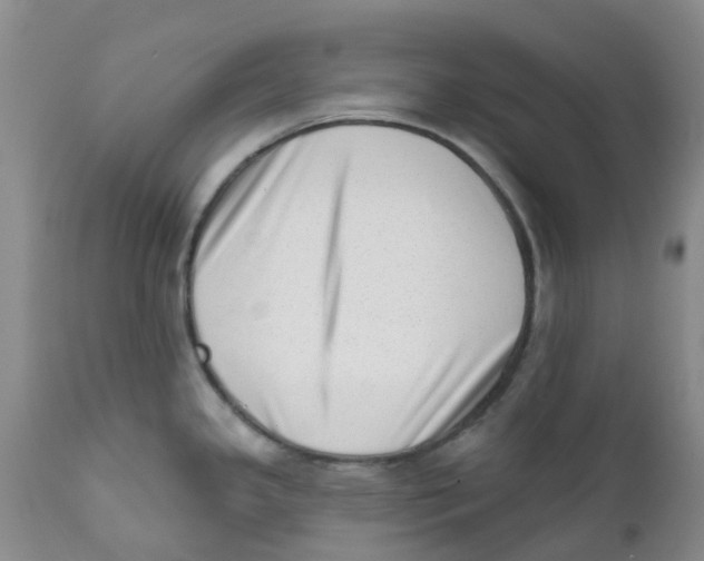 X0000112391341200909101402