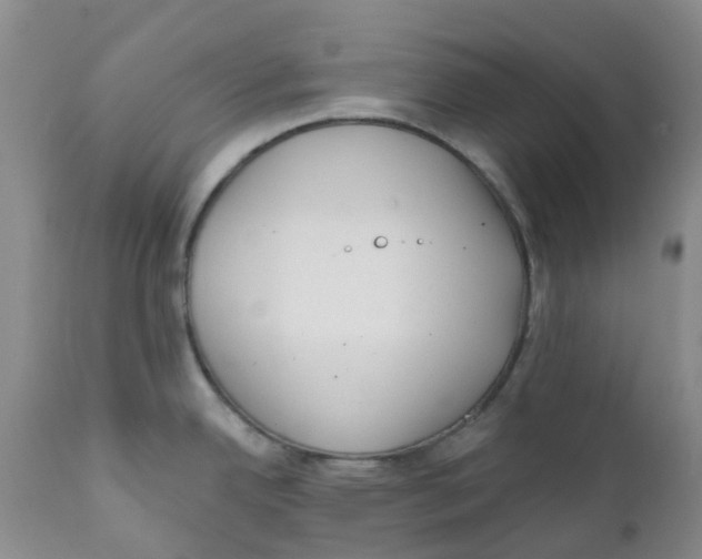 X0000112391342200909101402