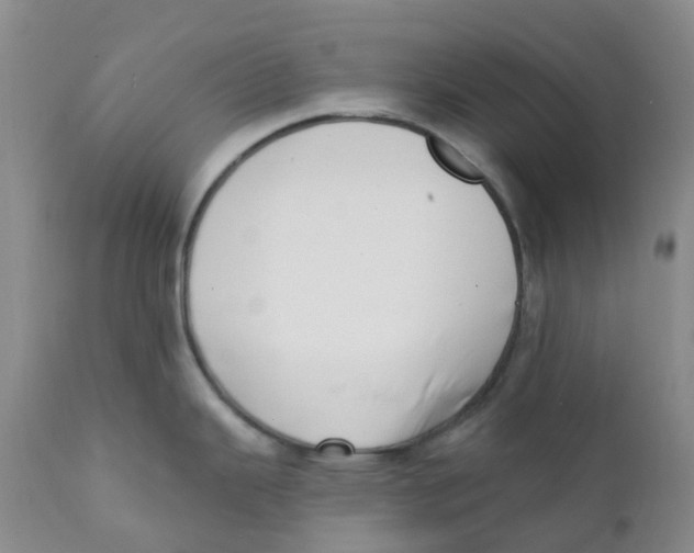 X0000112391343200909101402