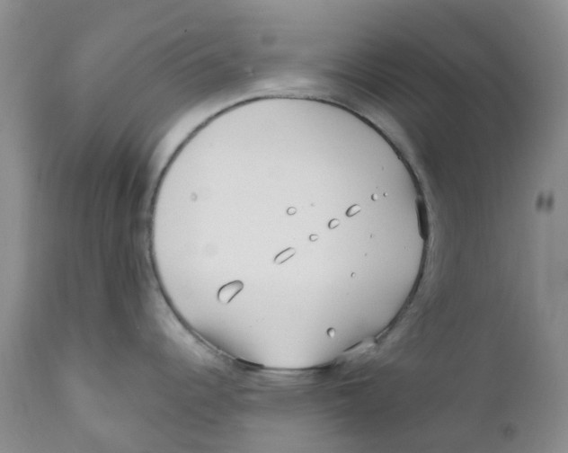 X0000112391344200909101402