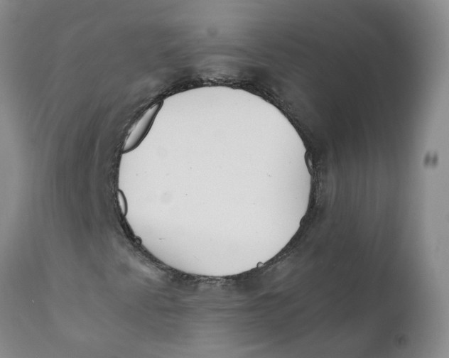 X0000112391345200909101401