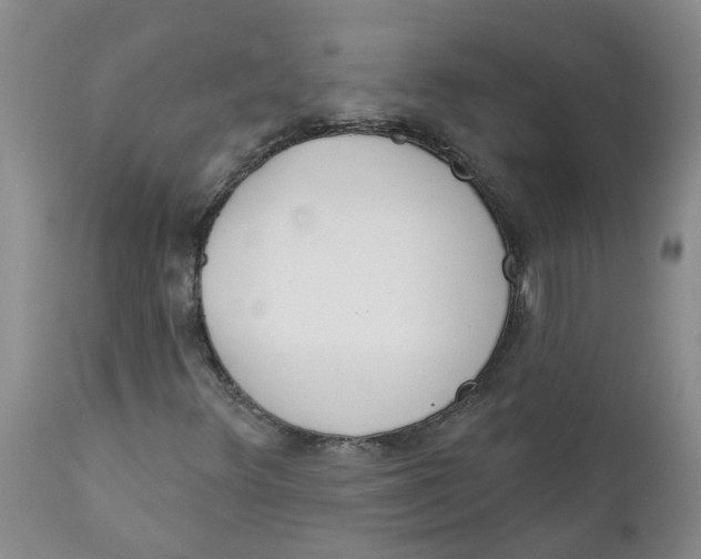X0000112391348200909101401
