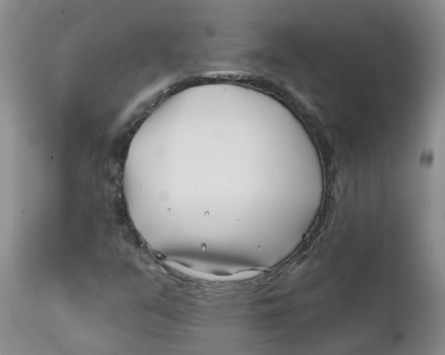 X0000112391351200909101400