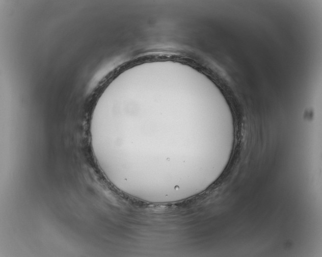 X0000112391352200909101400