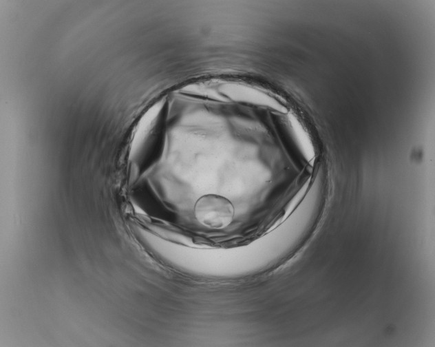 X0000112391353200909101400