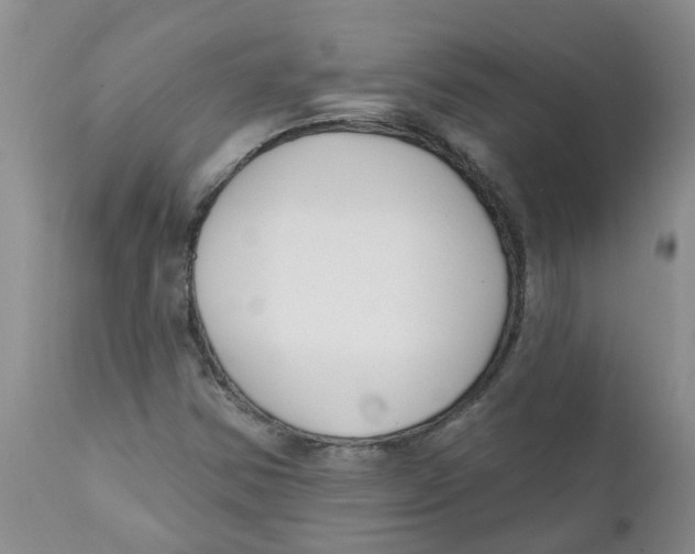 X0000112391354200909101400