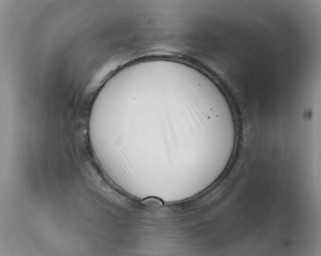 X0000112391355200909101400