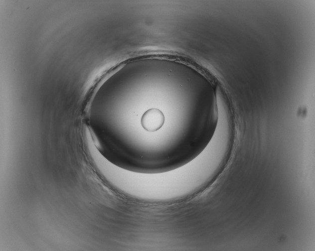 X0000112391357200909101400