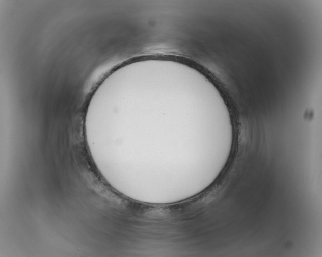 X0000112391358200909101400