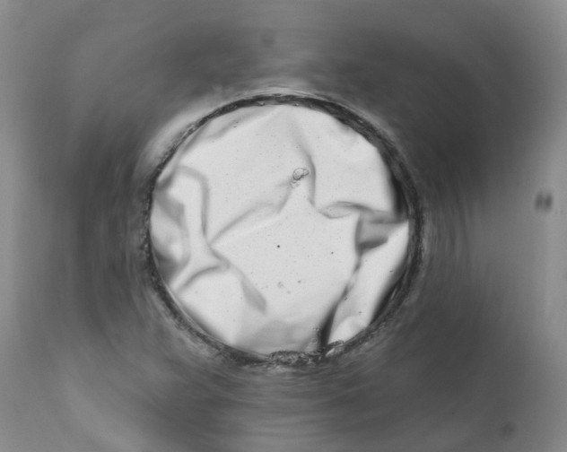 X0000112391359200909101400