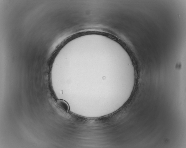 X0000112391360200909101400