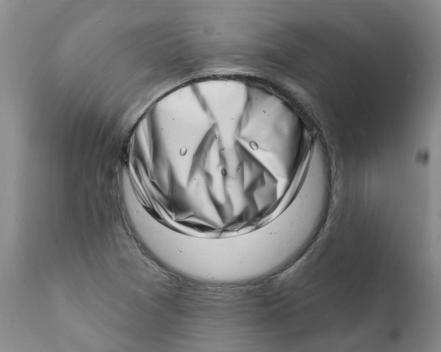 X0000112391361200909101400