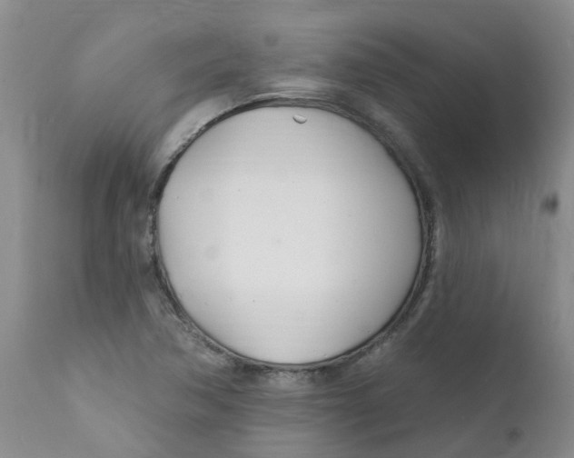 X0000112391362200909101400