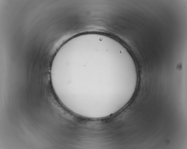 X0000112391363200909101400