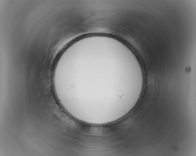 X0000112391364200909101400