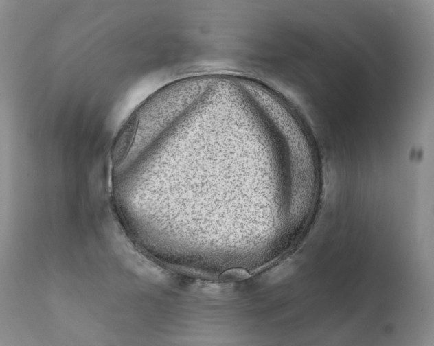 X0000112391365200909101400