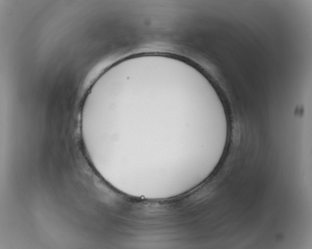 X0000112391366200909101400