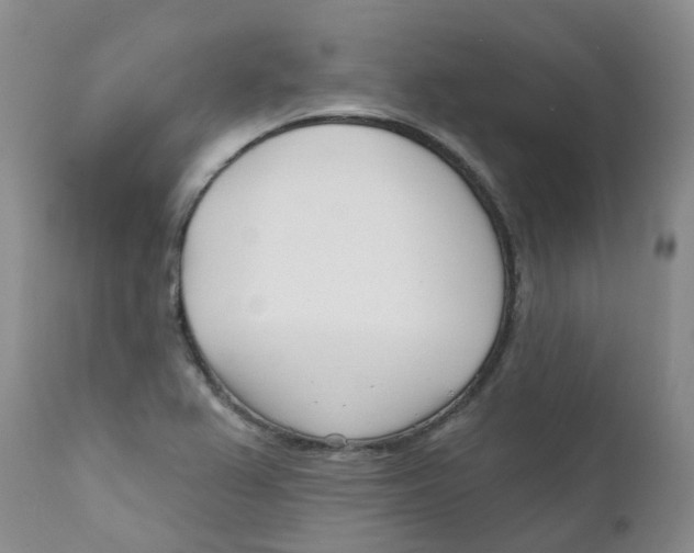 X0000112391367200909101400