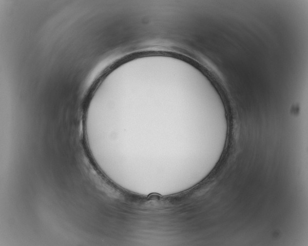 X0000112391368200909101400