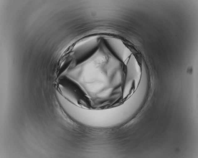 X0000112391369200909101400