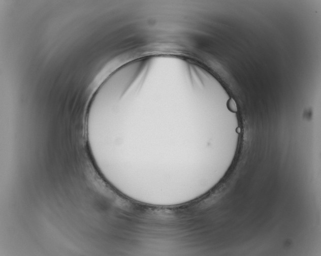 X0000112391370200909101400