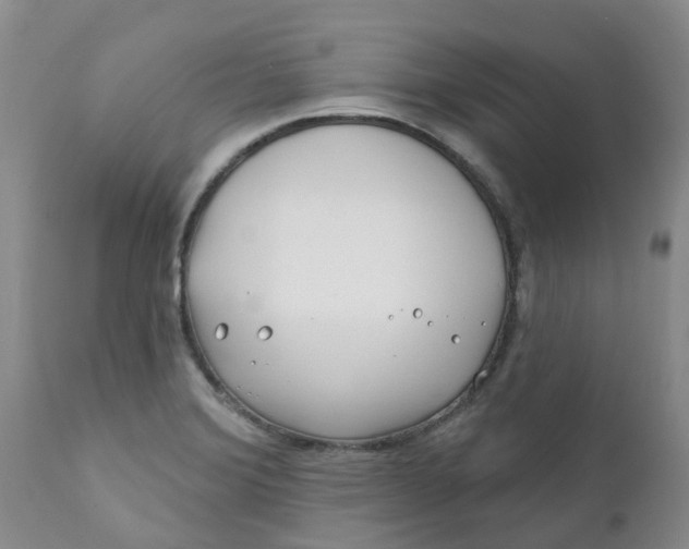 X0000112391372200909101400