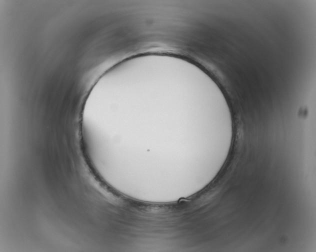 X0000112391375200909101400