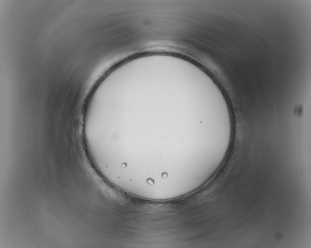 X0000112391376200909101400