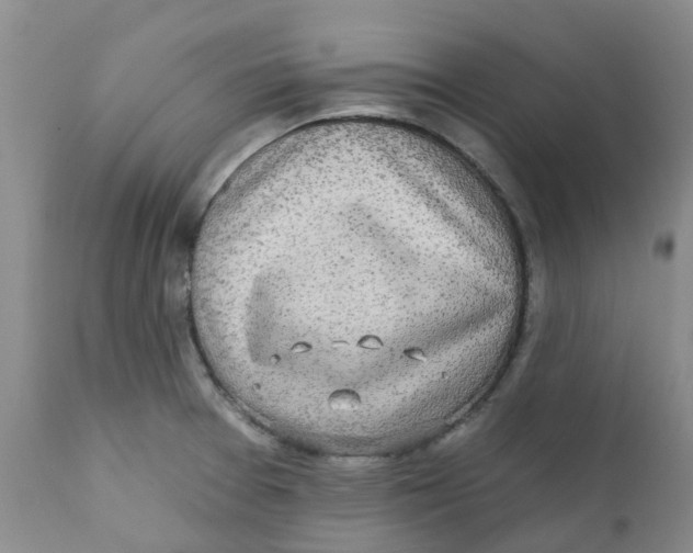 X0000112391377200909101400