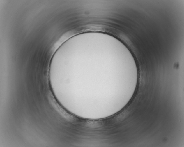 X0000112391378200909101400